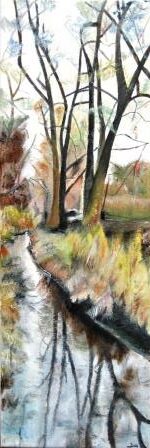 nature, eau, arbres, forêt