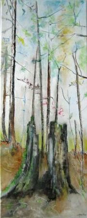 souche, bois, forêt